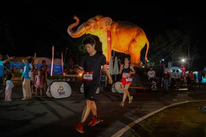 BIB: 
                            <button type="button" onclick="openModal(26552362)" class="btn btn-primary btn-sm float-right btn-popup" data-toggle="modal" data-target=".modal-high-quality">
                        <i class="fas fa-shopping-cart"></i> Add to Cart
                    </button>
                                            <button type="button" onclick="isThisMe(26552362, true)" class="btn btn-success btn-sm float-right btn-popup btn-isme hidden" data-toggle="tooltip" data-placement="bottom" title="นี่คือรูปของคุณใช่ไหม คลิกที่นี่เพื่อเอาเข้าอัลบั้ม">
                        <i class="fas fa-plus"></i> Add to album
                    </button>
                    <button type="button" onclick="isThisMe(26552362, false)" class="btn btn-warning btn-sm float-right btn-popup btn-isnotme hidden">
                        <i class="fas fa-ban"></i> Remove from album
                    </button>